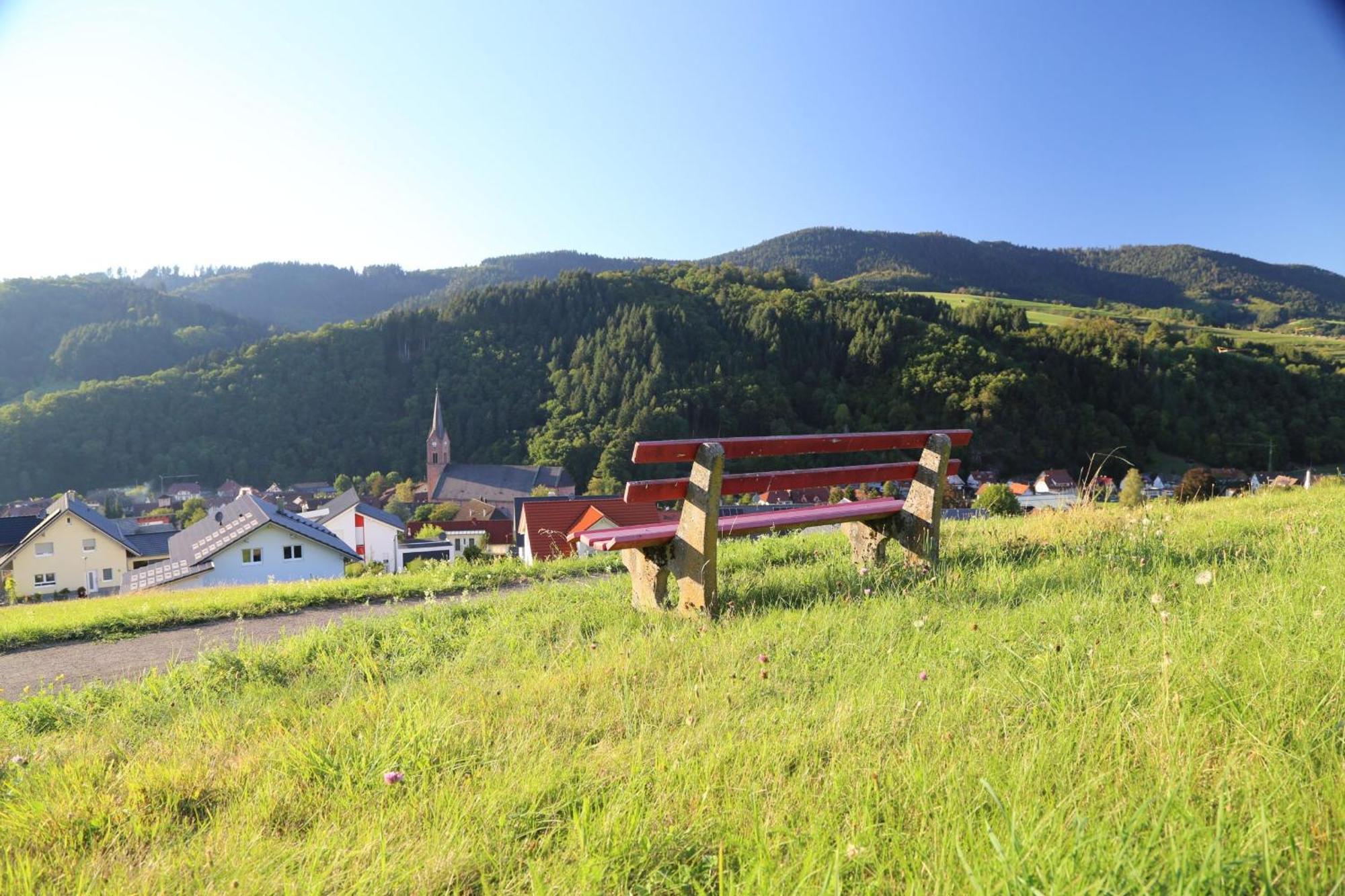 Ferienwohnung Jilg Oberharmersbach Exterior foto